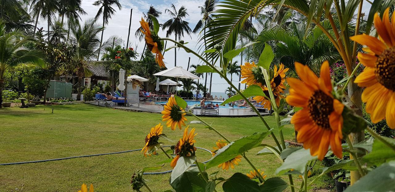 Sun & Sands Beach Hotel Mũi Né Extérieur photo